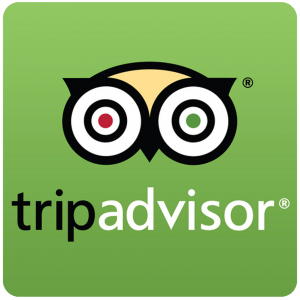 tripadvisor-logo-3